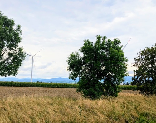 Polska wciąż w europejskim ogonie pod względem rozwijania OZE