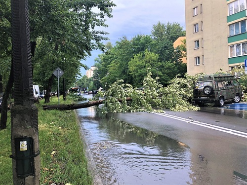 Rusza skierowana do przedszkoli kampania społeczna „Obiecajmy”