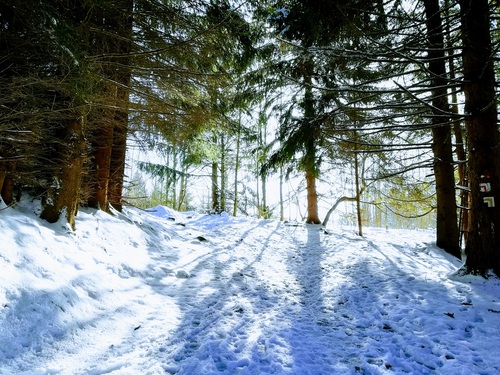 Naukowcy dowodzą, że spacerowanie w śnieżnym krajobrazie zwiększa samoakceptację