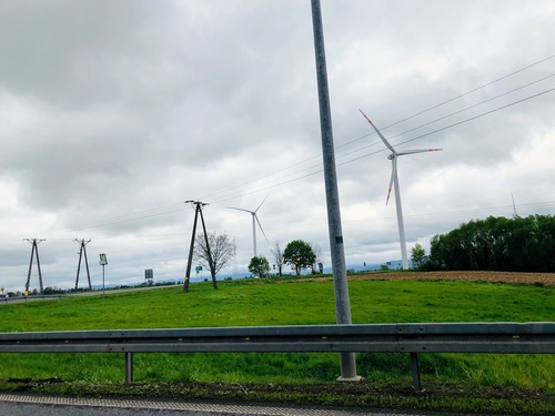 Indeks Dekarbonizacji zmierzy nastroje przedsiębiorców wobec dekarbonizacji i ochrony środowiska